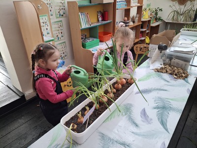 Огород круглый год